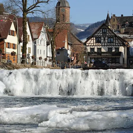 Restaurant Rebstock فندق 3*