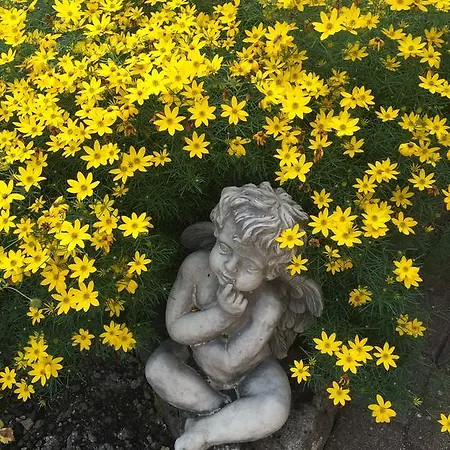 Restaurant Rebstock فندق أوبناو