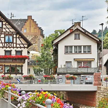 فندق Restaurant Rebstock 3*