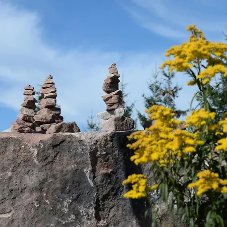 Restaurant Rebstock فندق 3*