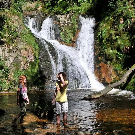 فندق Restaurant Rebstock 3*