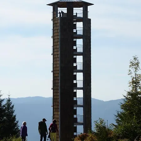 فندق Restaurant Rebstock 3*