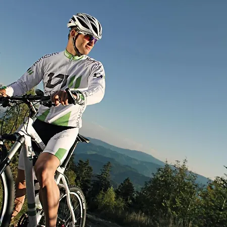 Restaurant Rebstock فندق 3*