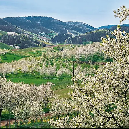 فندق Restaurant Rebstock أوبناو