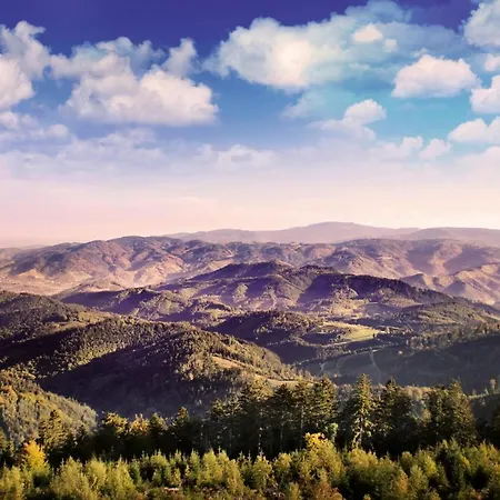 Restaurant Rebstock فندق