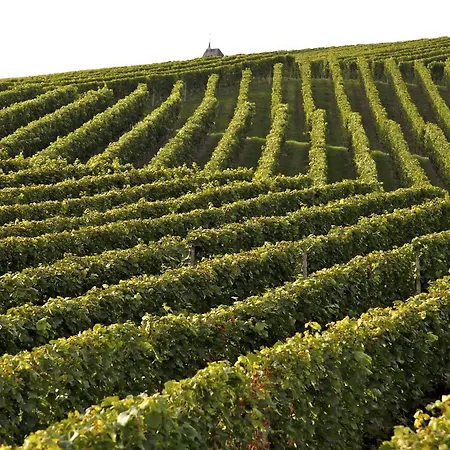 فندق Restaurant Rebstock