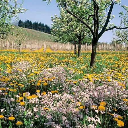 فندق Restaurant Rebstock