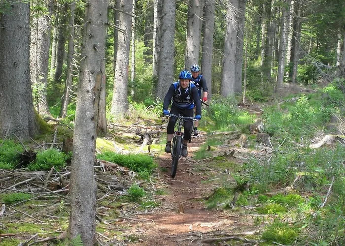 Restaurant Rebstock Hotel Oppenau