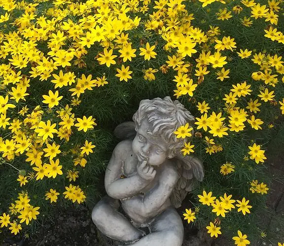 Restaurant Rebstock Hotel Oppenau