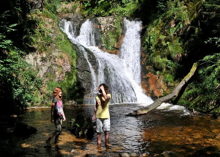 Hotel Restaurant Rebstock 3*