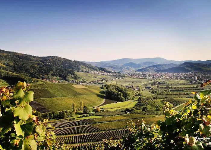 Restaurant Rebstock Hotel Oppenau