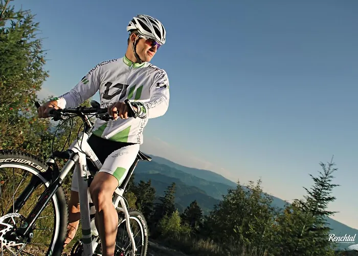 Restaurant Rebstock Hotel 3*