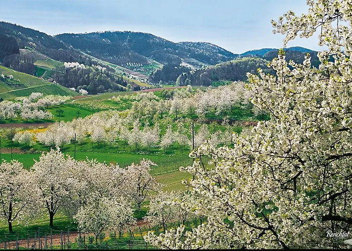 Hotel Restaurant Rebstock Oppenau