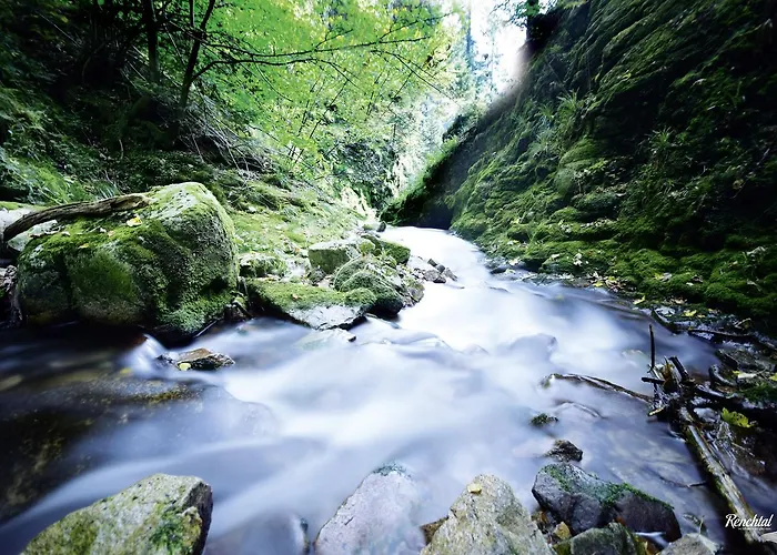 Hotel Restaurant Rebstock Oppenau