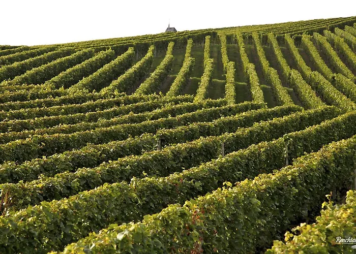 Hotel Restaurant Rebstock