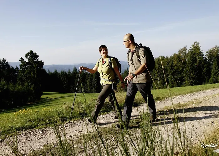 Hotel Restaurant Rebstock 3*