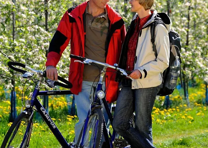 Restaurant Rebstock 3* Oppenau