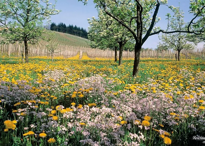 Hotel Restaurant Rebstock